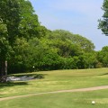 50 Fun and Affordable Things to Do in Austin, Texas