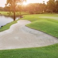 Golfing in Cedar Park, Texas: A Golfer's Guide