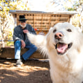 Fun Activities for You and Your Pet at Cedar Park Texas Driving Range