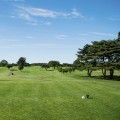 The Best Driving Range in Cedar Park, Texas: Perfect Your Swing