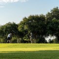 Golf Clubs for Rent at Cedar Park Driving Range - Get Ready to Tee Off!