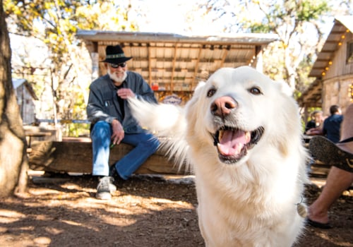 Fun Activities for You and Your Pet at Cedar Park Texas Driving Range